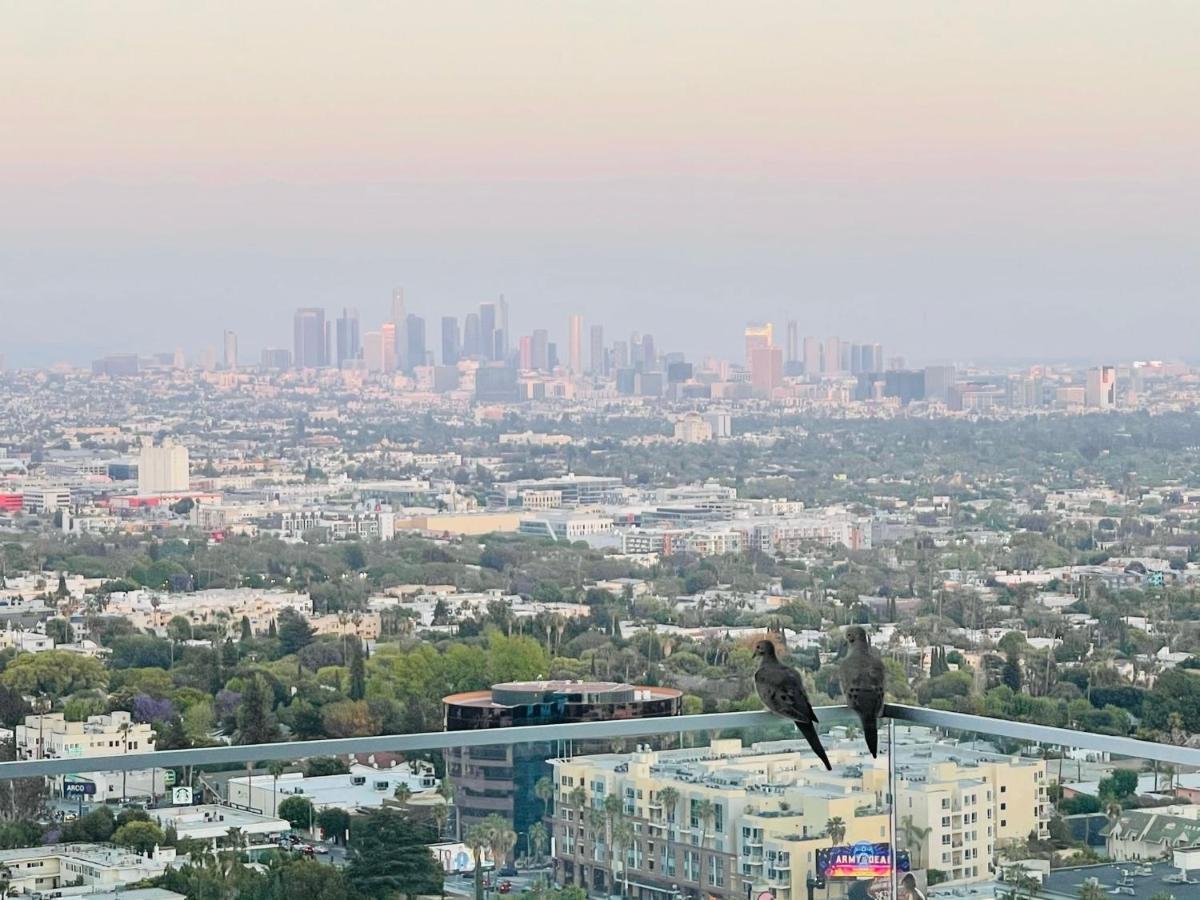 Stunning View Hollywood Hills Guest House ロサンゼルス エクステリア 写真